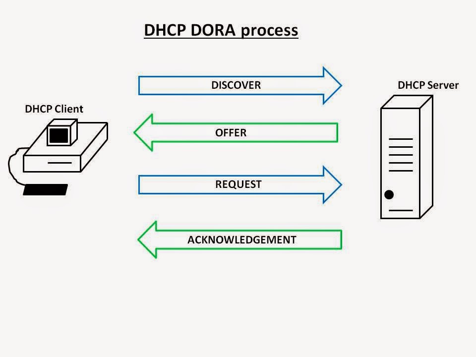 Dora Process