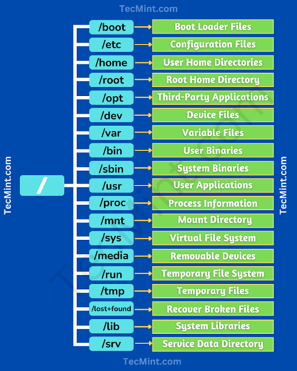 linux dir stucture