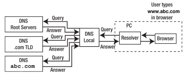 dns process