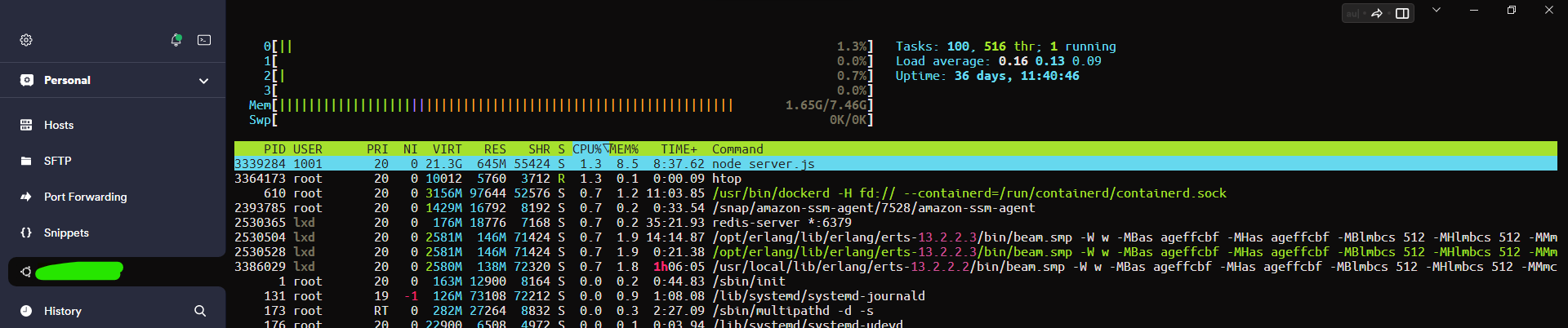 htop command output