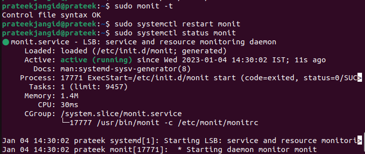 monit command output